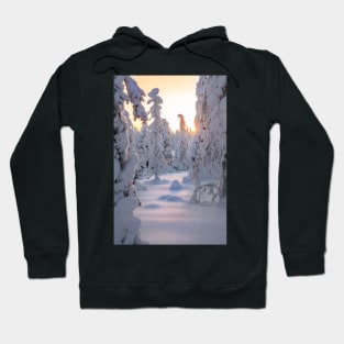 Arctic Winter Hoodie